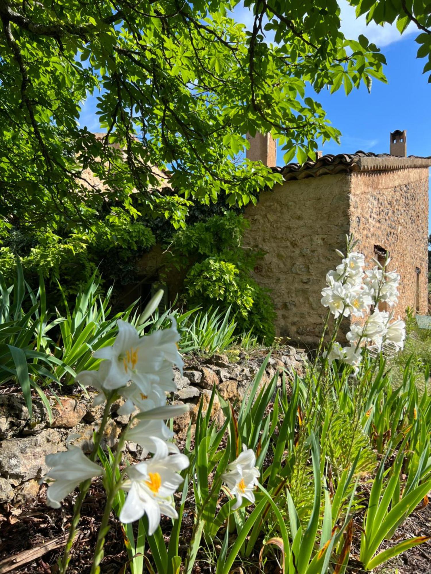 La Cabane De Babarot Aups Eksteriør billede